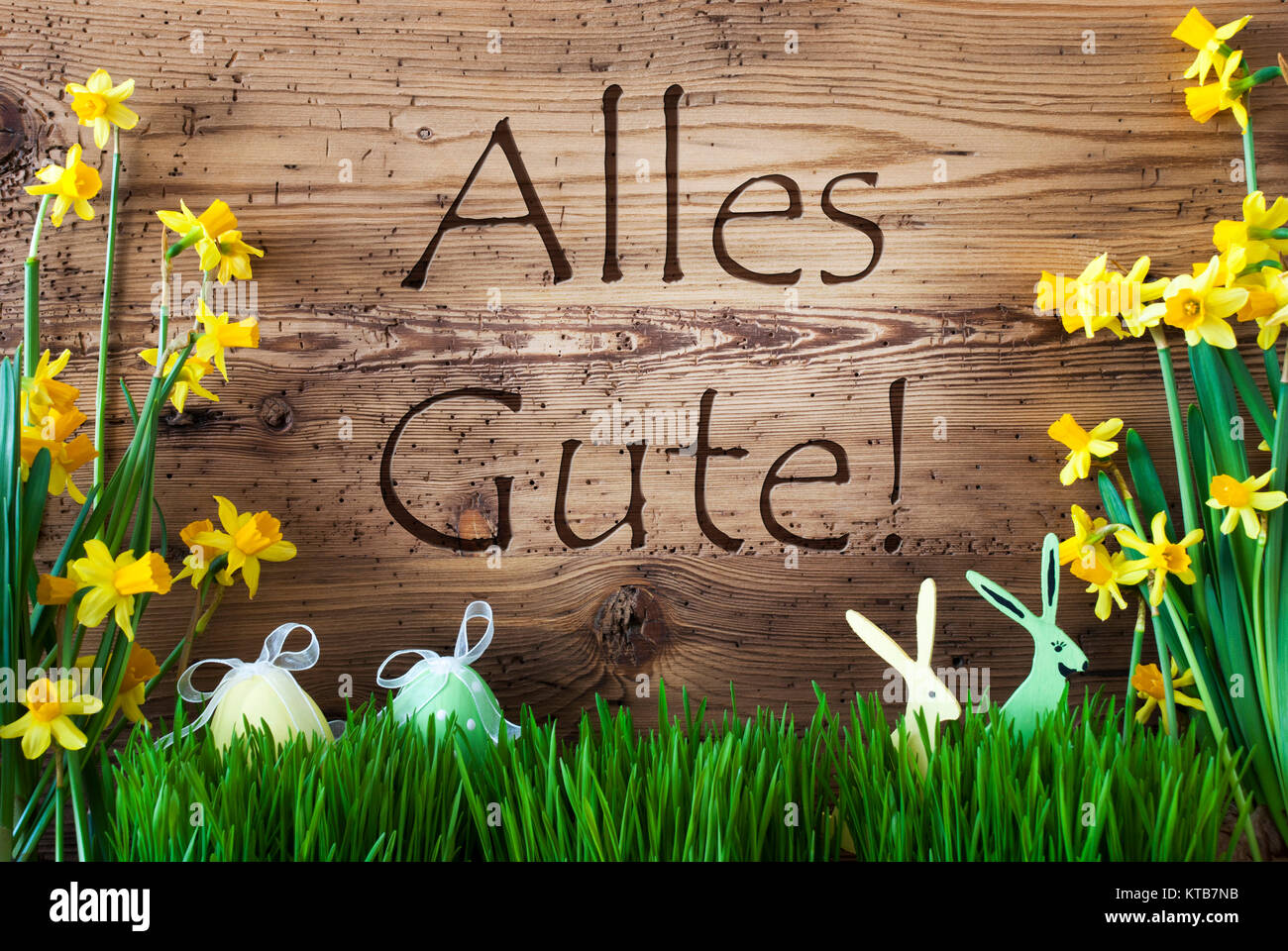Wooden Background With German Text Alles Gute Means Best Wishes Easter Decoration Like Easter Eggs And Easter Bunny Yellow Spring Flower Narcisssus With Gras Card For Seasons Greetings Stock Photo Alamy