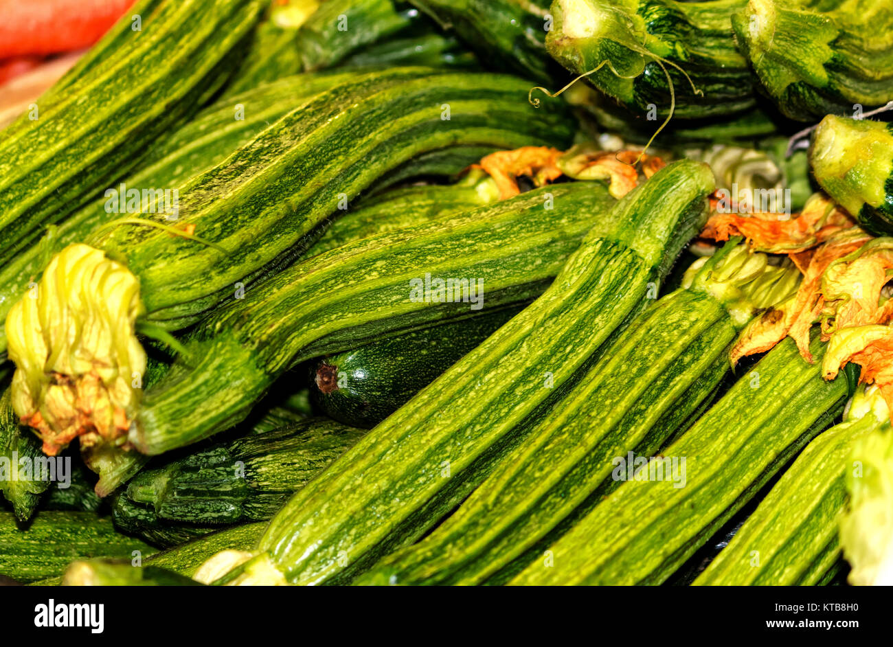 zucchini romanenca (italian costata squash) Stock Photo