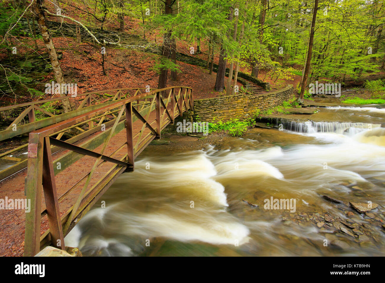 Trail Footbridge, Wolf Creek, Letchworth State Park, New York