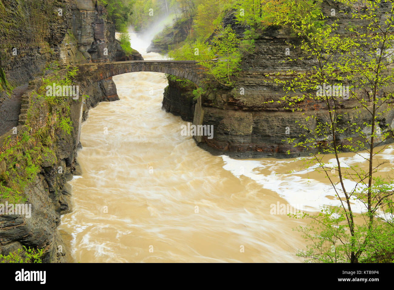 Gorge Trail Crossing At Lower Falls, Genesee, River, Letchworth State ...