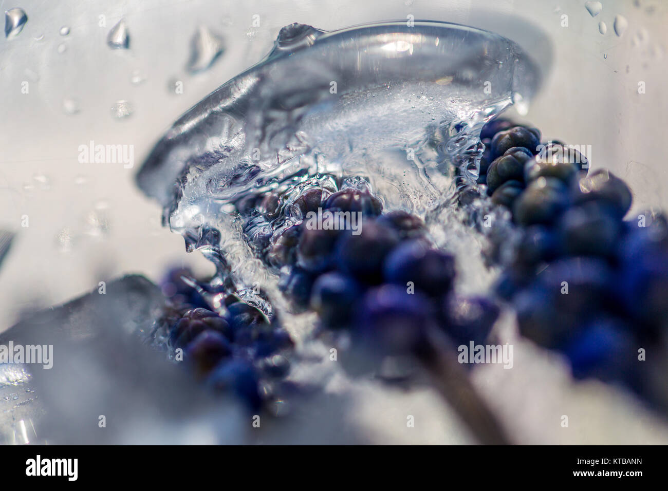 flowers in ice Stock Photo