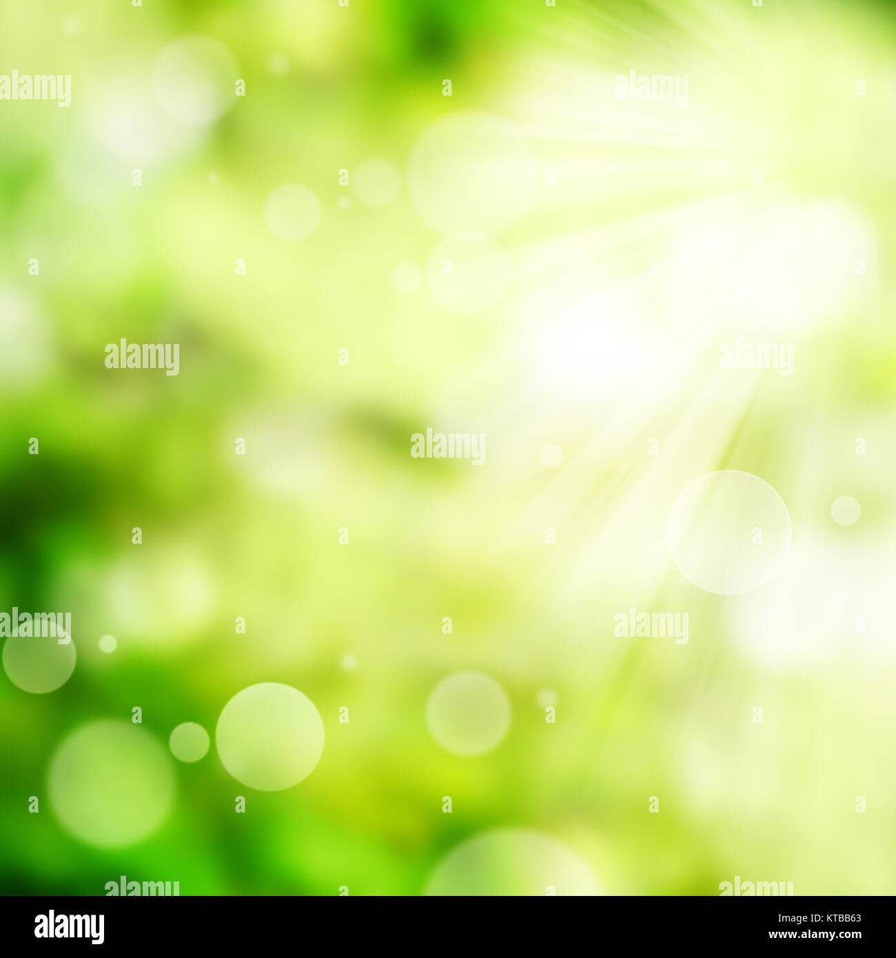 Bright green spring background with bokeh effects Stock Photo