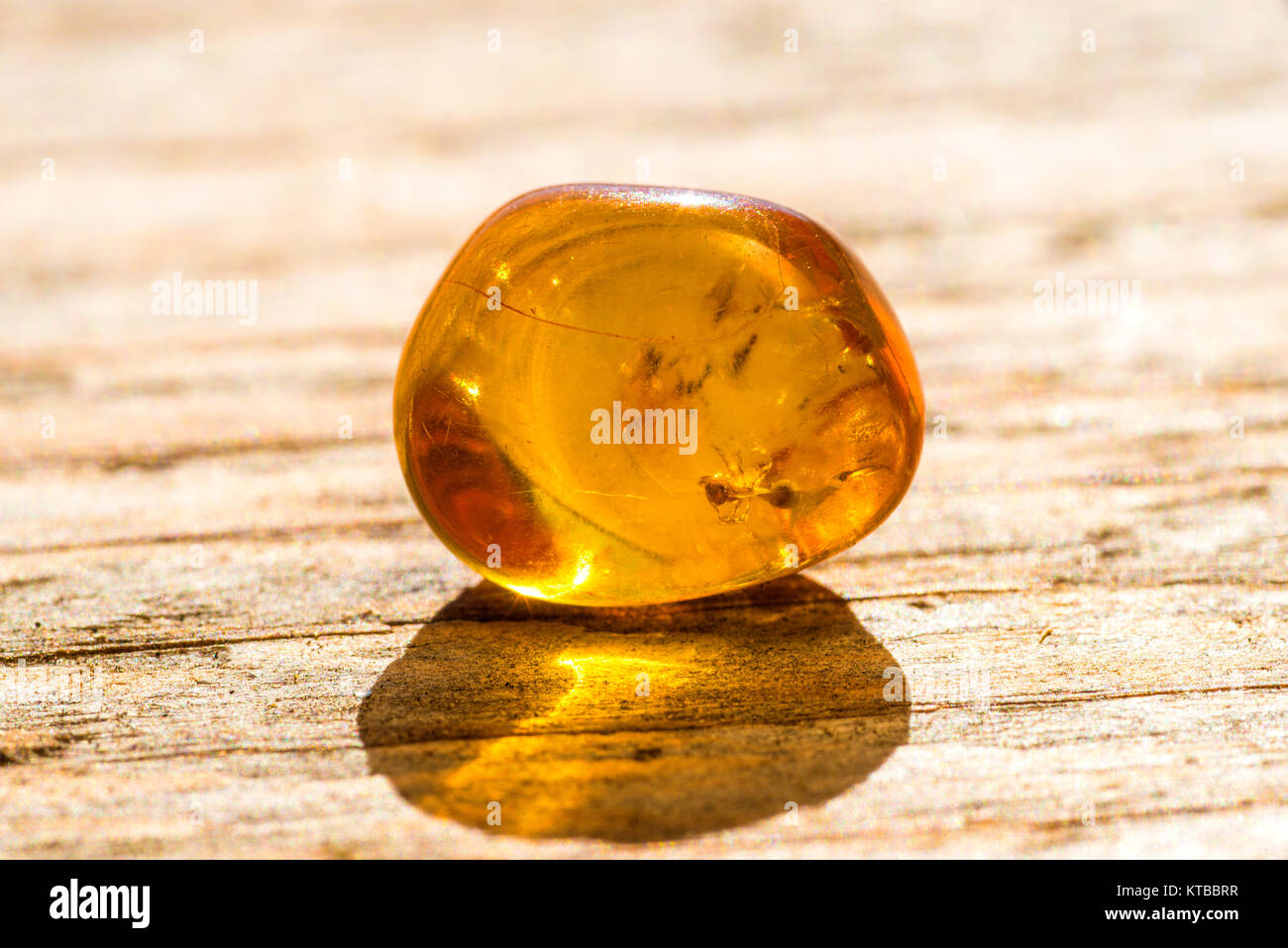 Gatuida Bernstein Insekt Fossilien - 3 Sets Naturbernstein Mit Insekten