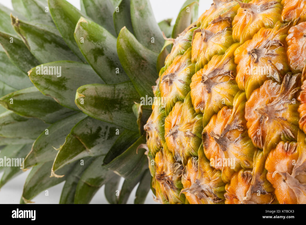 Pineapple (Ananas comosus Stock Photo - Alamy