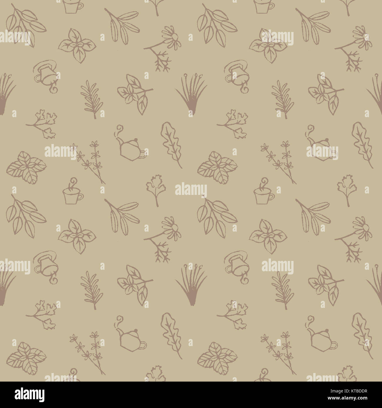 Herb and tea seamless pattern Stock Photo