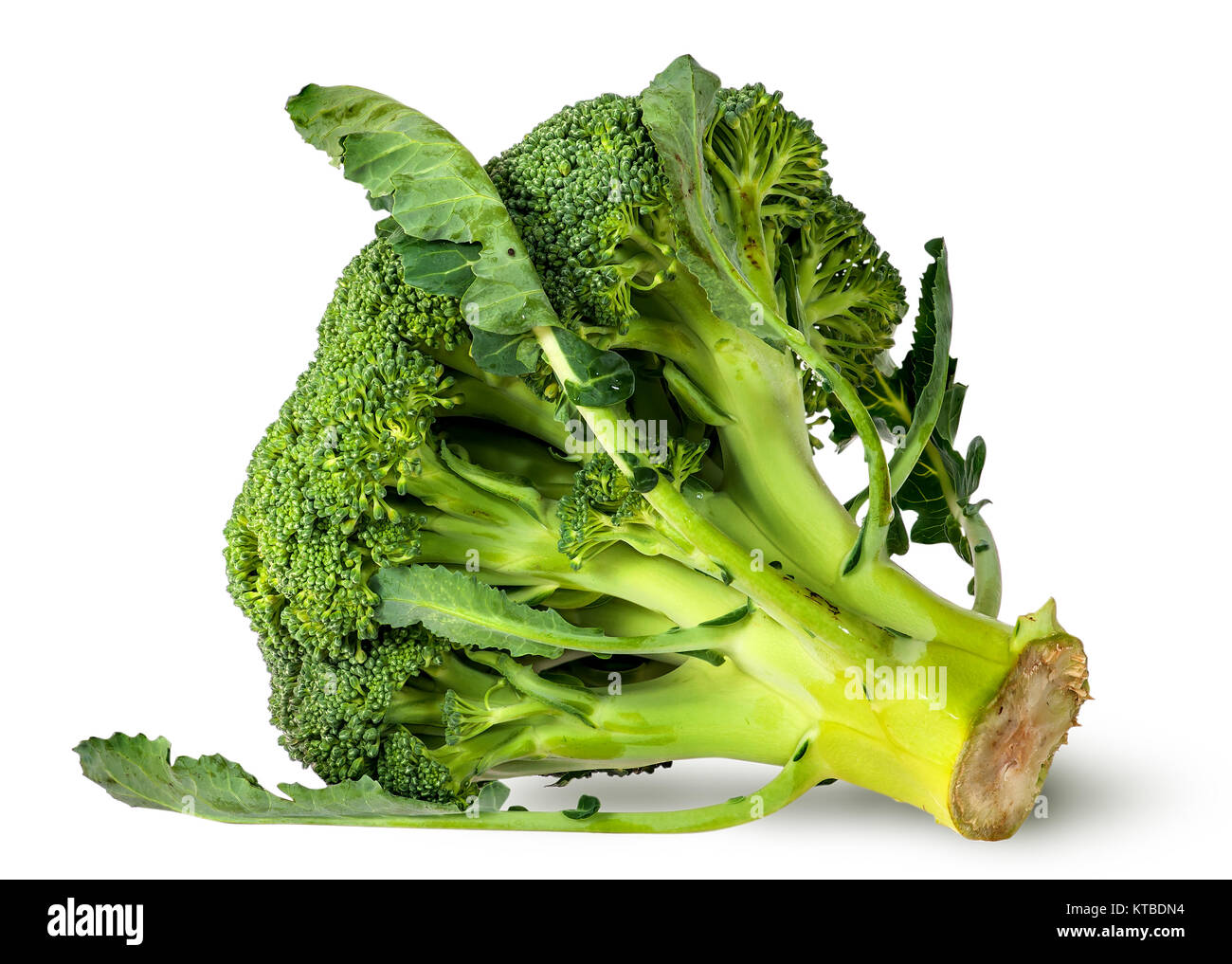 Big broccoli florets with leaves Stock Photo Alamy