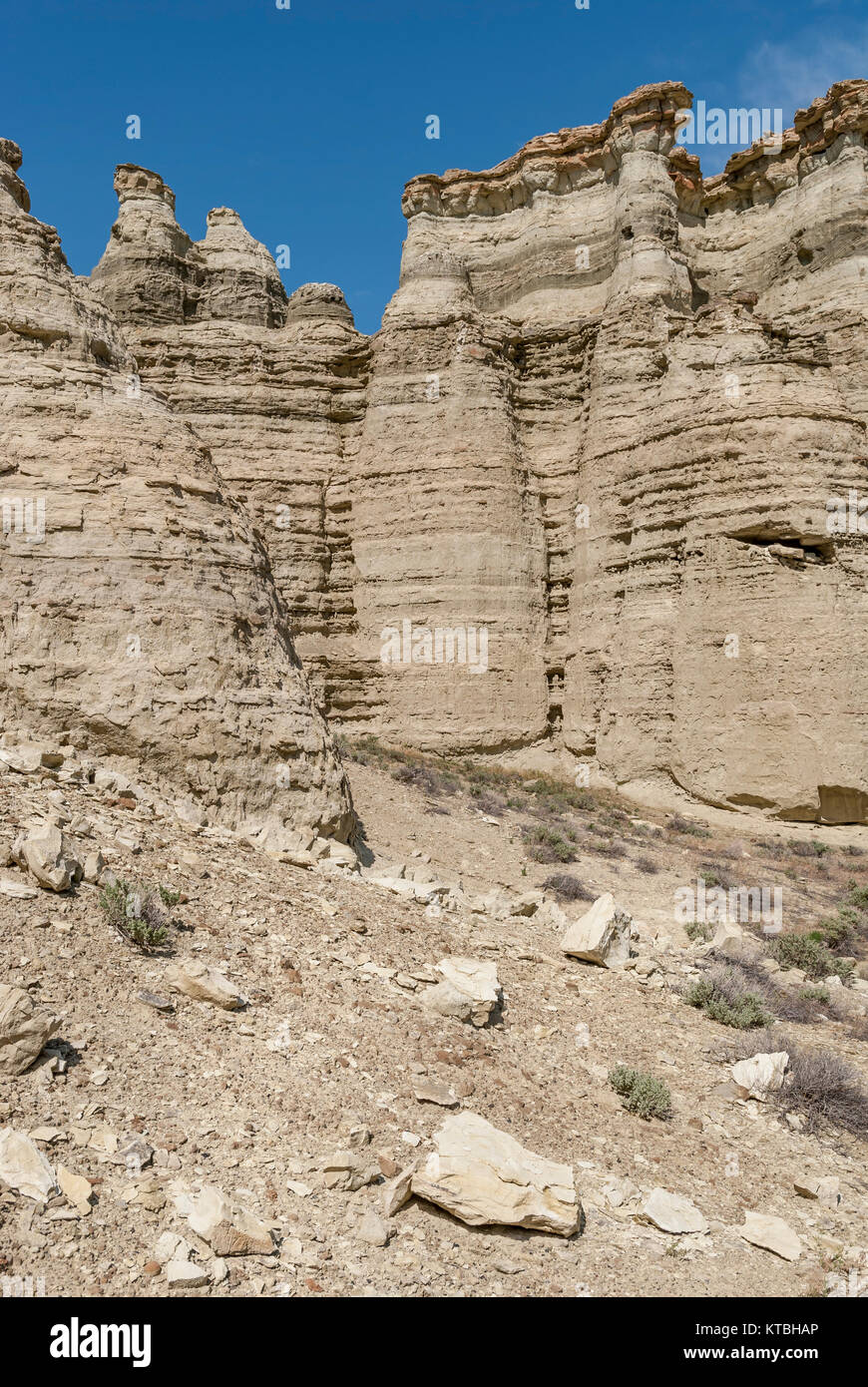 Pillars of Rome sandstone rock formations in the Oregon Outback Stock