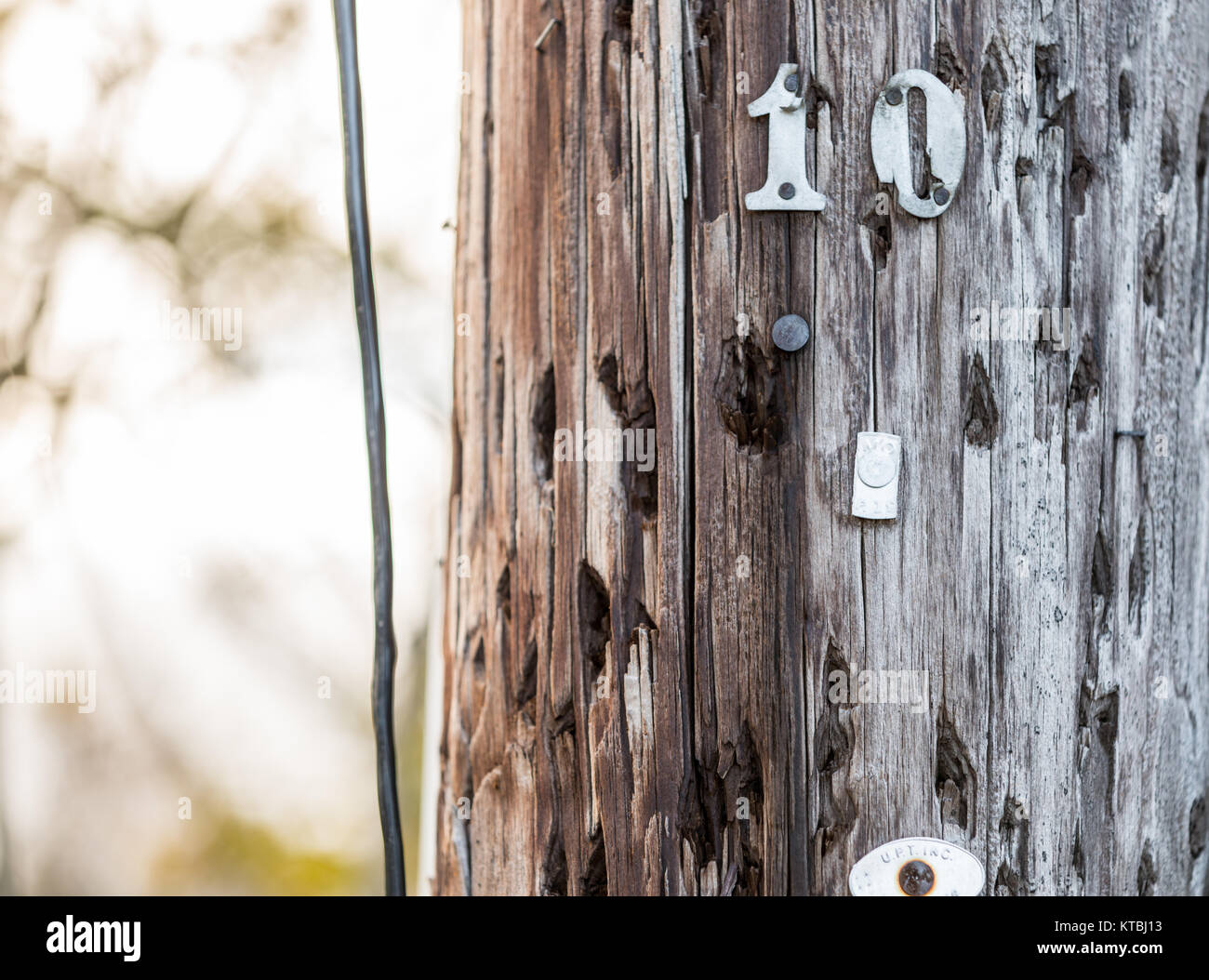 the number 19 and other tags on a section of an utilty pole Stock Photo