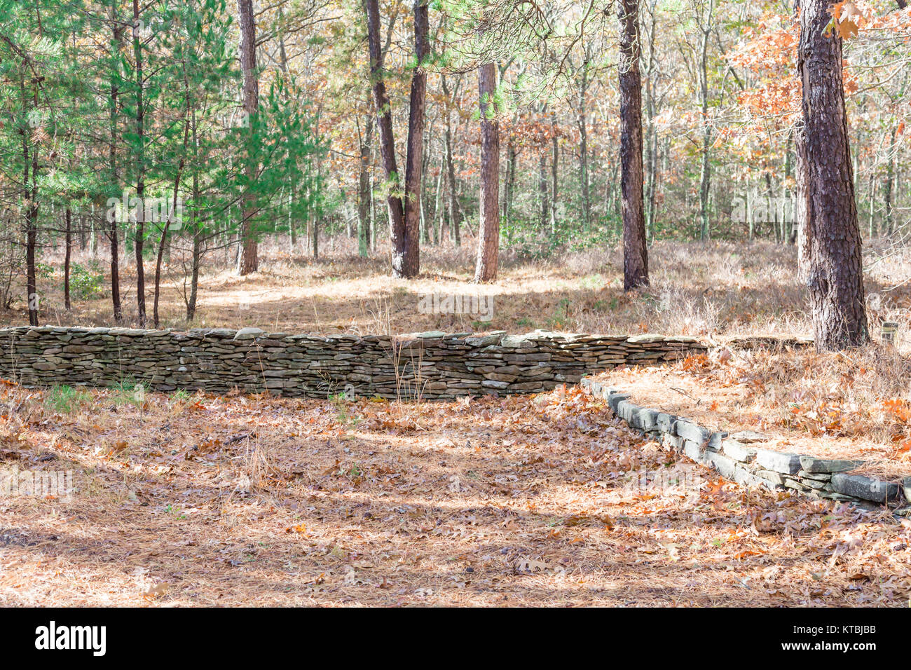 old rock wall in the woods in wainscott ny Stock Photo