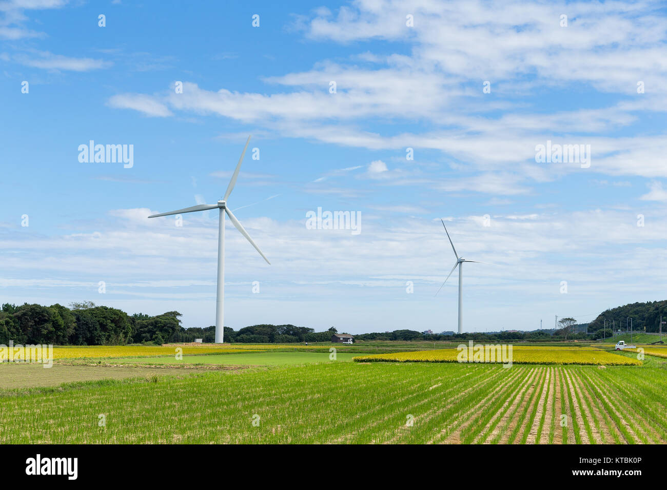 Wind turbine and field with sunny day Stock Photo - Alamy