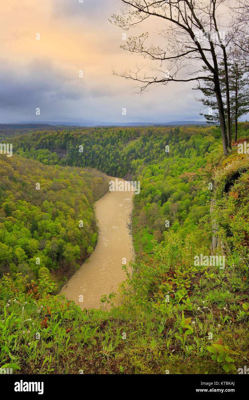 Archery Field View, Genesee River, Letchworth State Park, Castile, New