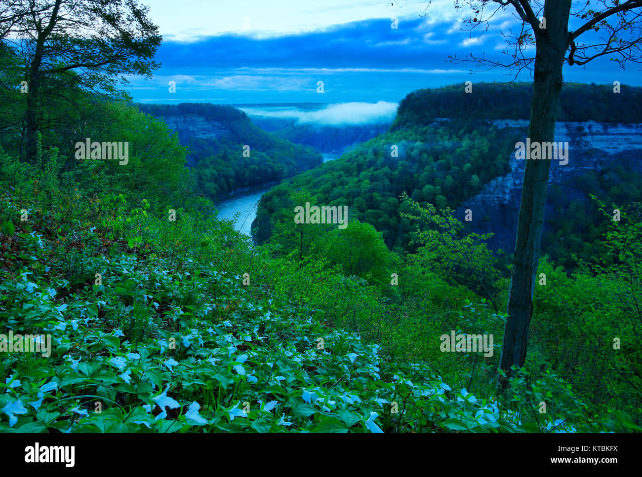 Great Bend Overlook, Genesee River, Letchworth State Park, Castile, New
