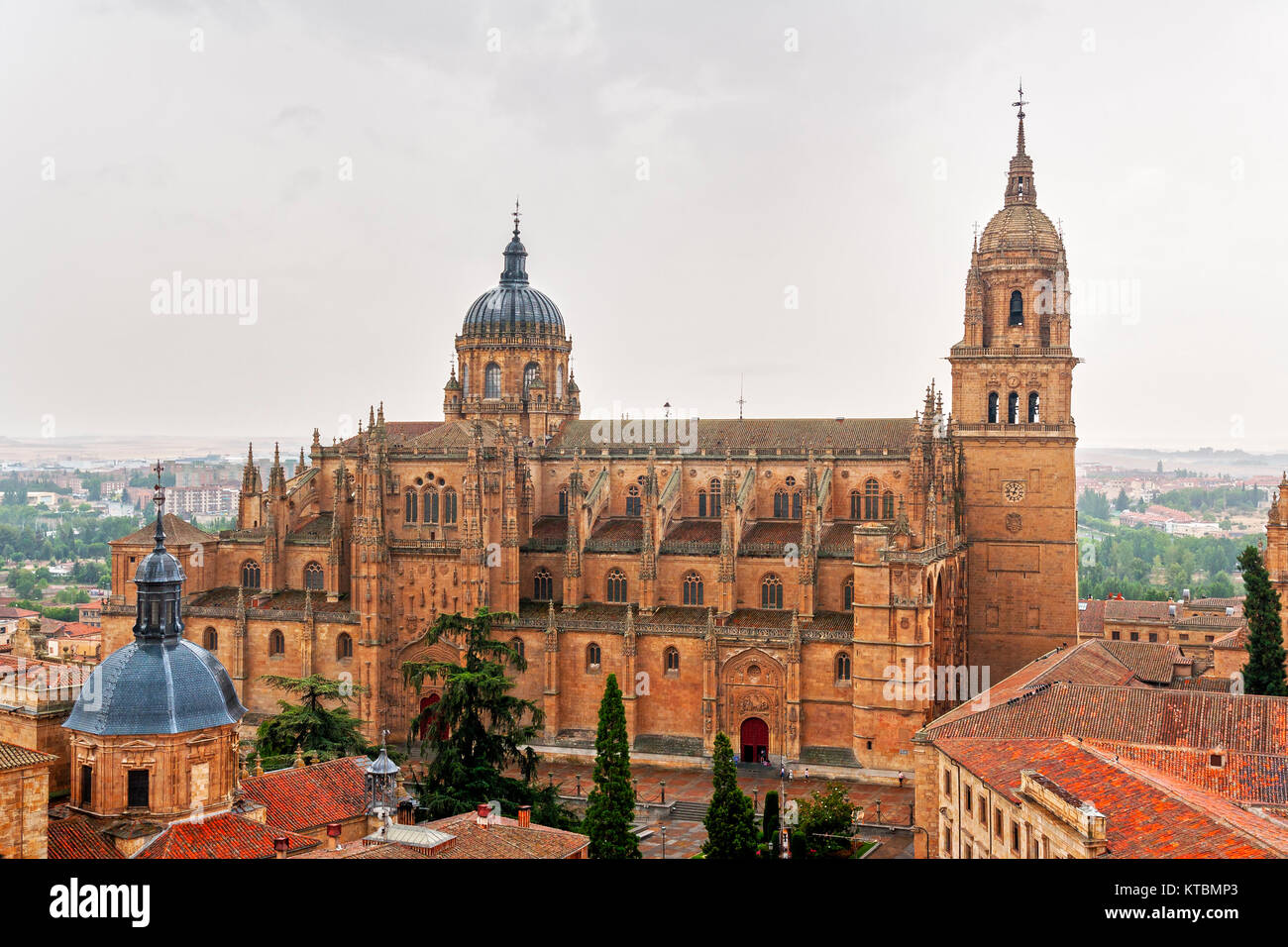 Catedral Nueva de Salamanca vista desde la Clerecía. Salamanca. Ciudad Patrimonio de la Humanidad. Castilla León. España Stock Photo