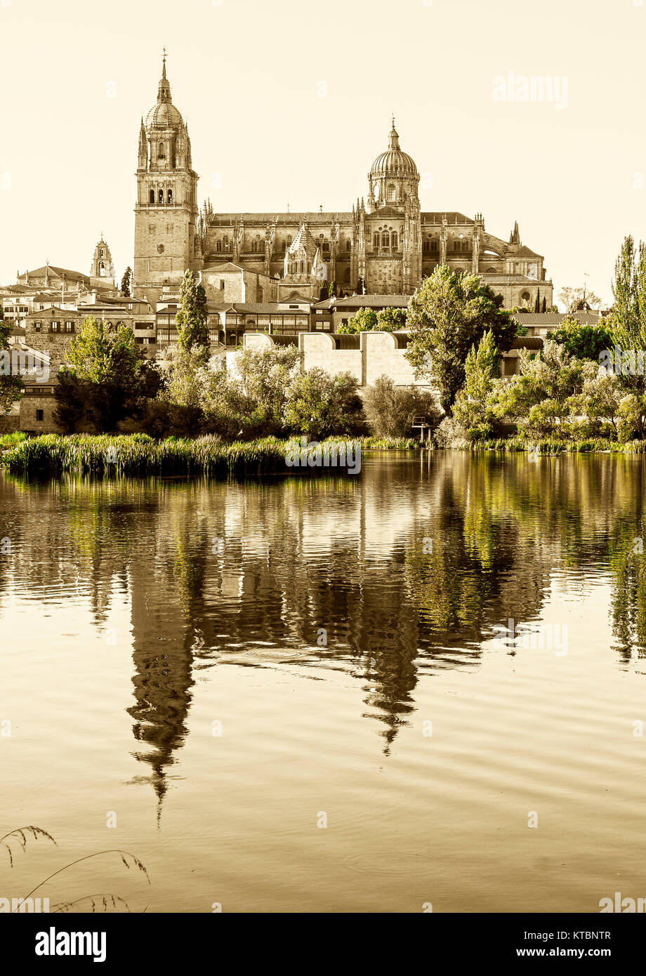 Catedral de Salamanca. Ciudad Patrimonio de la Humanidad. Castilla León. España Stock Photo