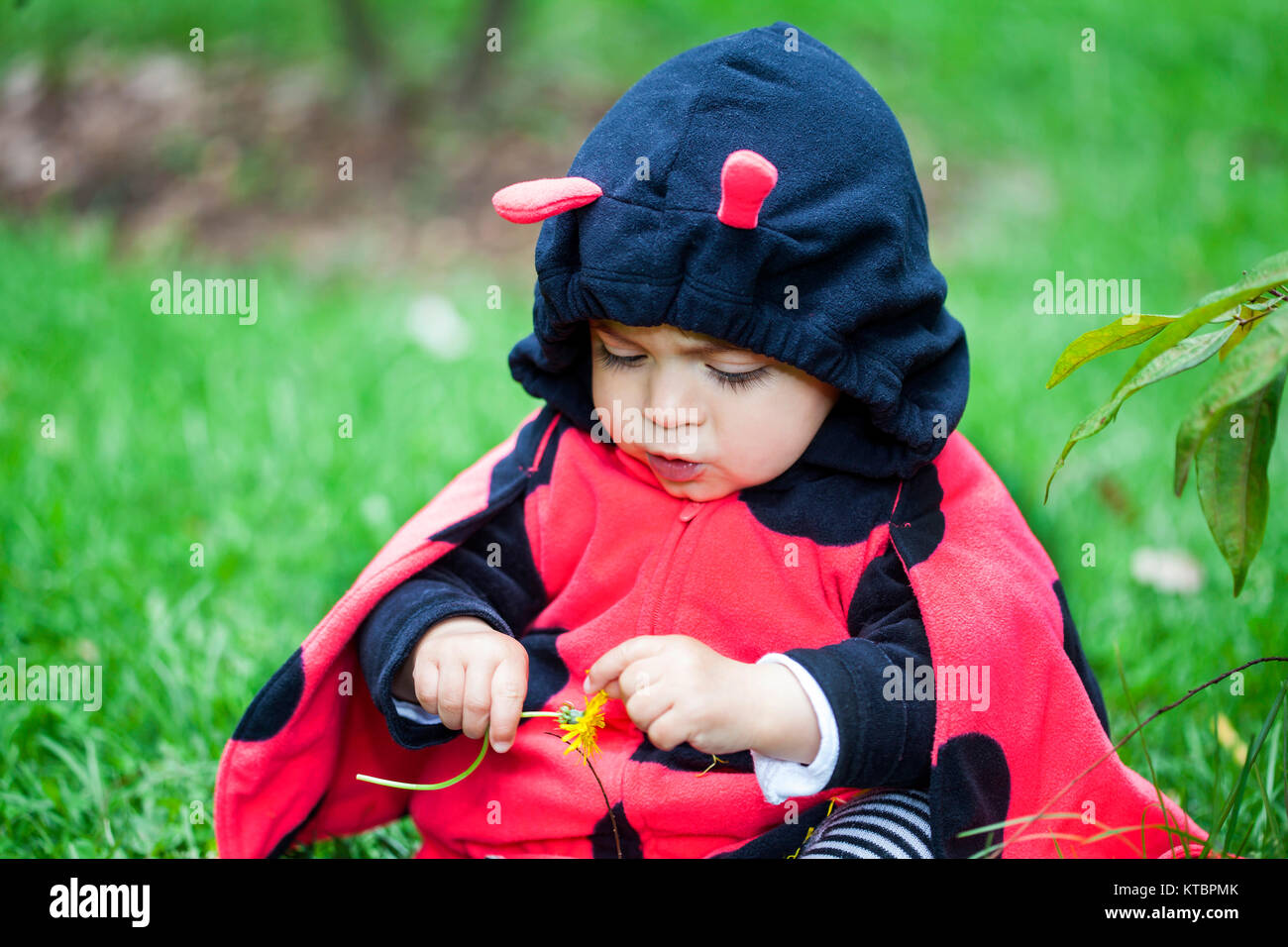Little baby girl wearing a ladybug costume sitting on a toddler Swing.  Halloween concept Stock Photo - Alamy