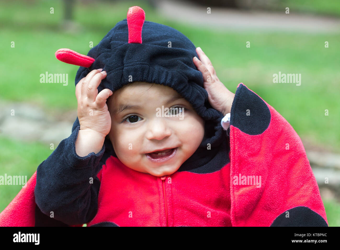 Little baby girl wearing a ladybug costume Stock Photo