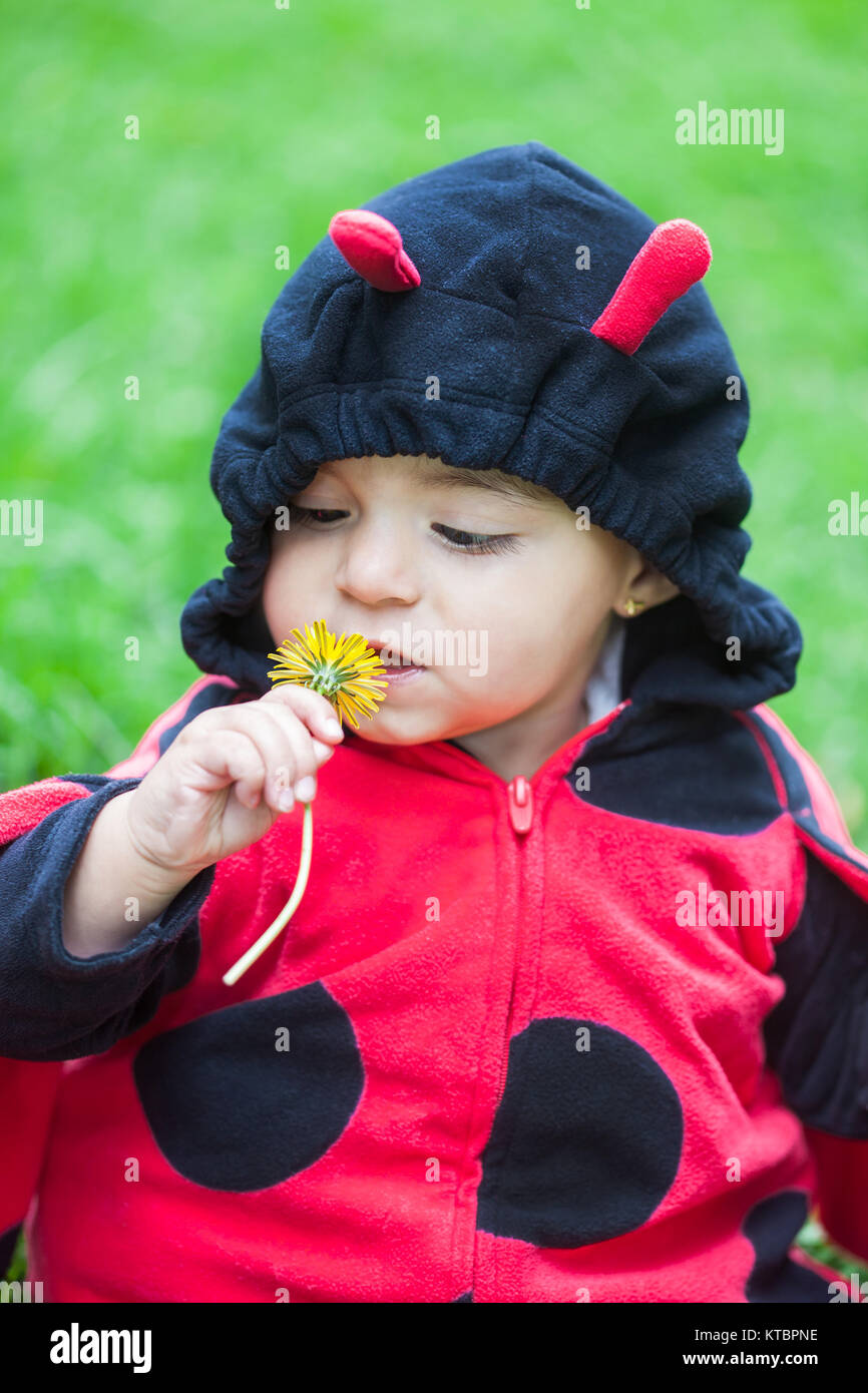 Little baby girl wearing a ladybug costume Stock Photo