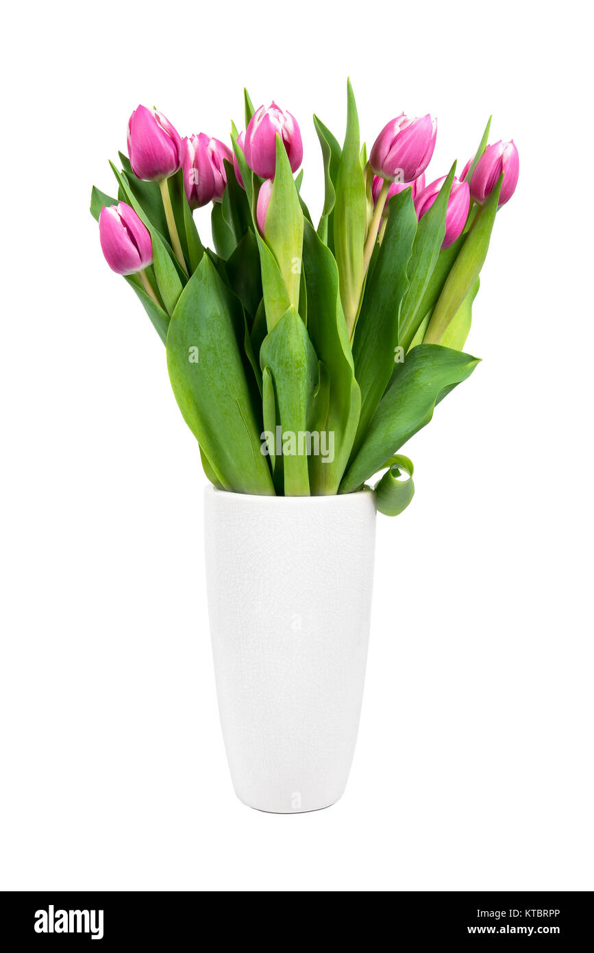 Bouquet of pink tulips in a vase isolated on white background with ...