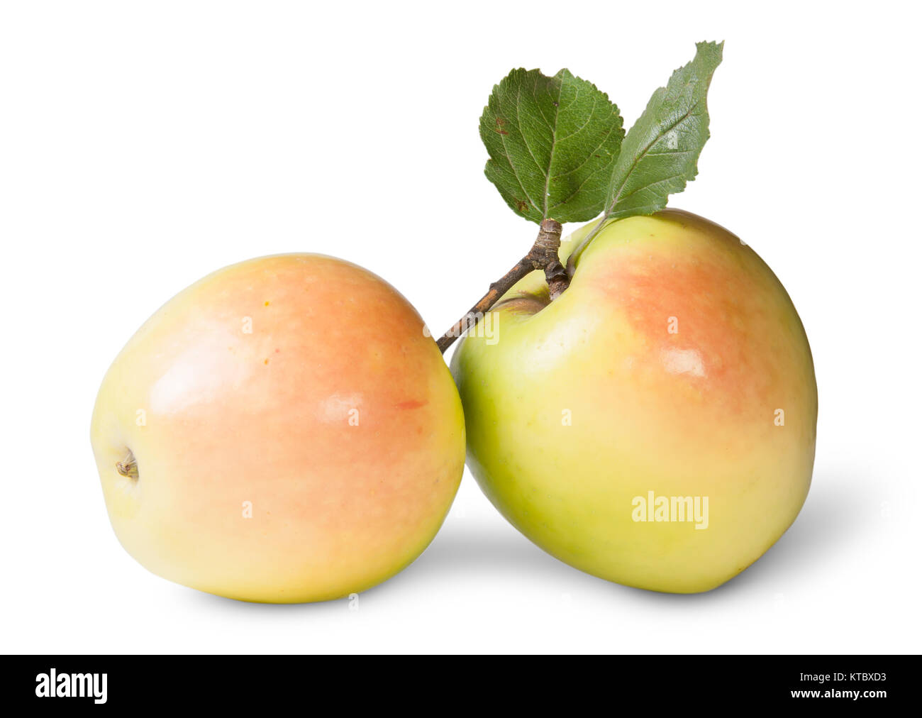 Two Juicy Apple With Green Leaf Stock Photo