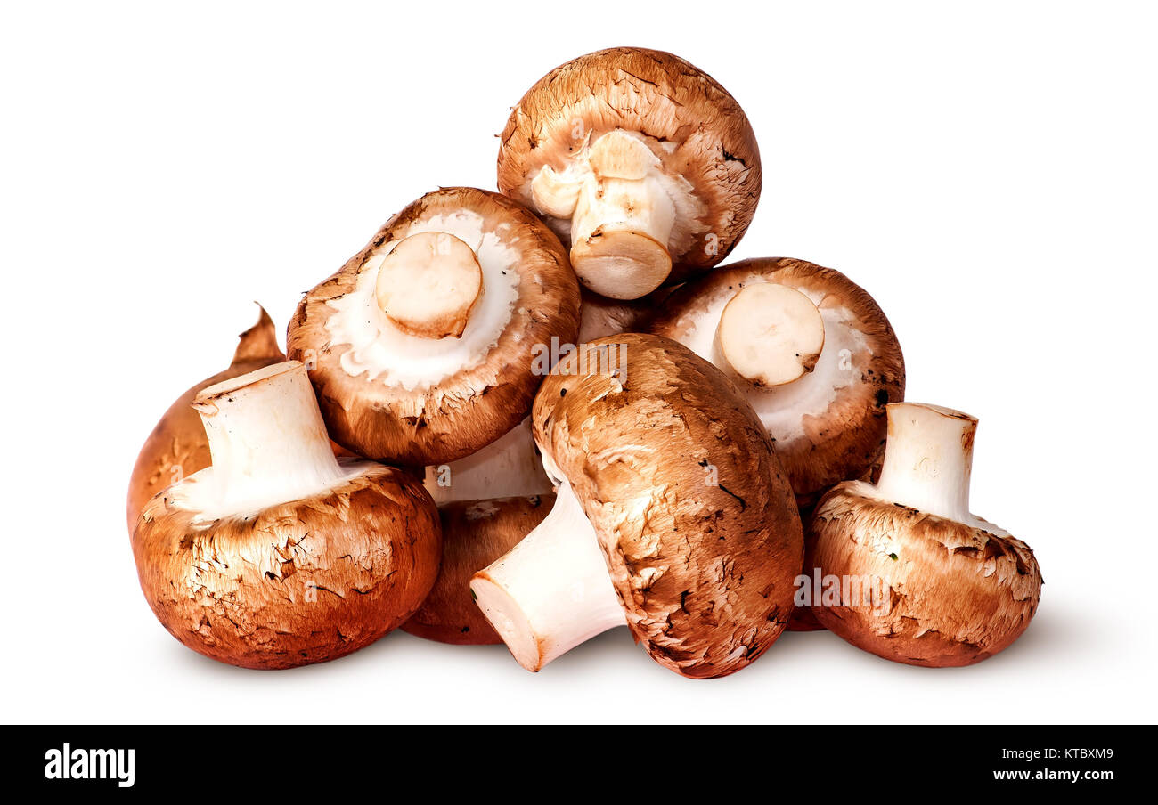 Pile of fresh brown champignon Stock Photo