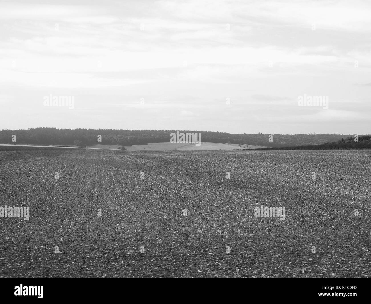 English country panorama in Salisbury in black and white Stock Photo