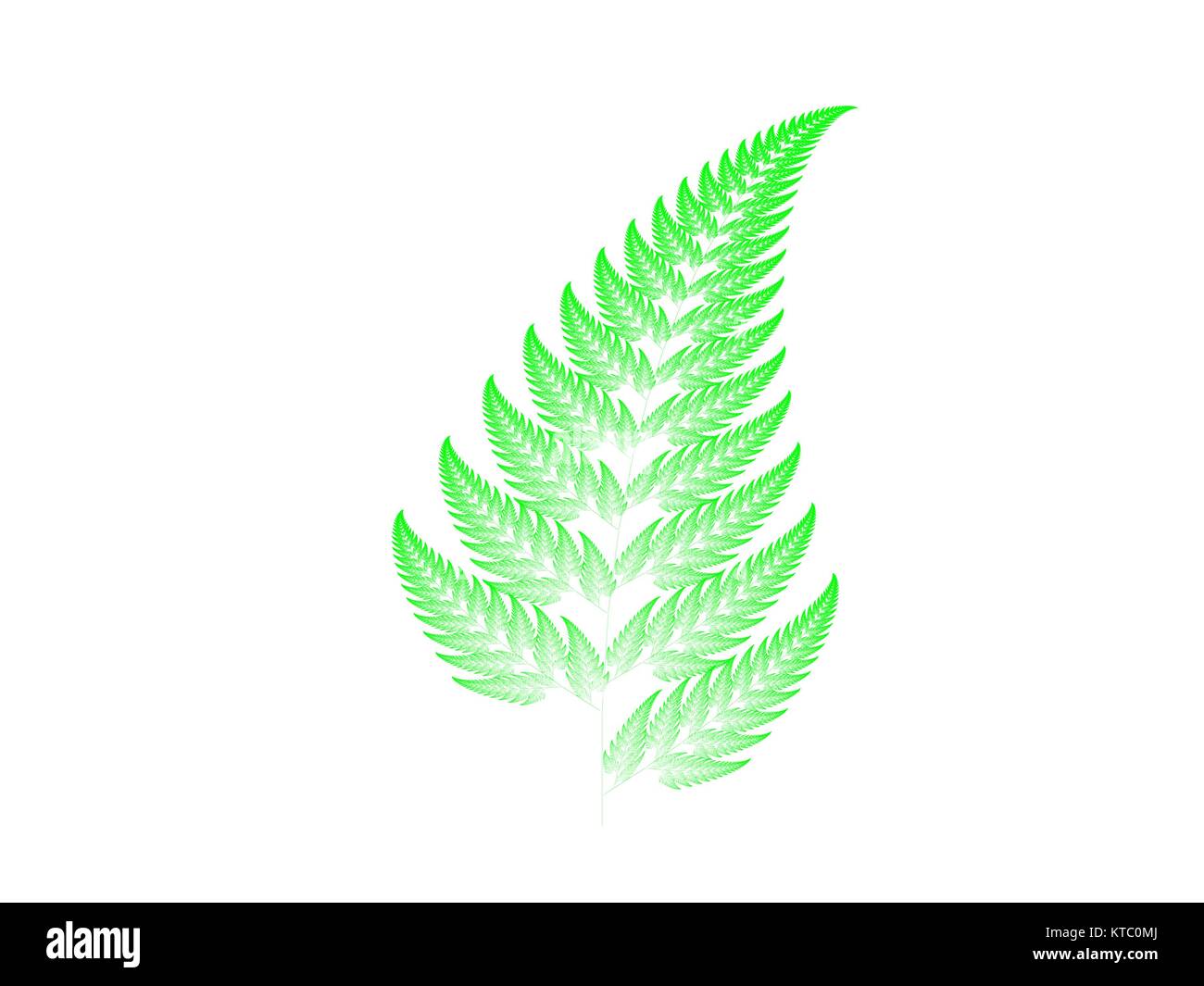 Green fractal background Stock Photo