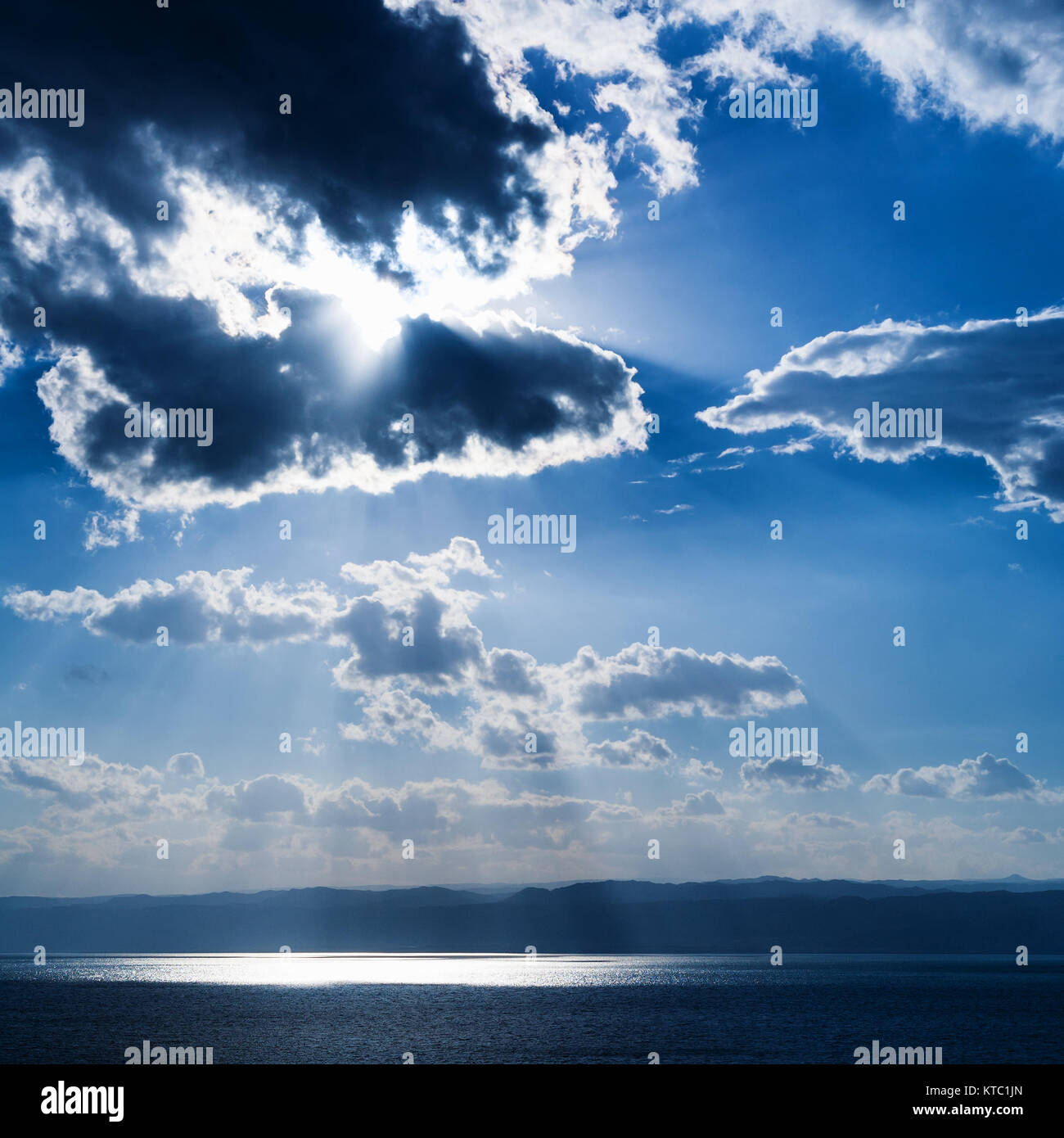 My Image 20