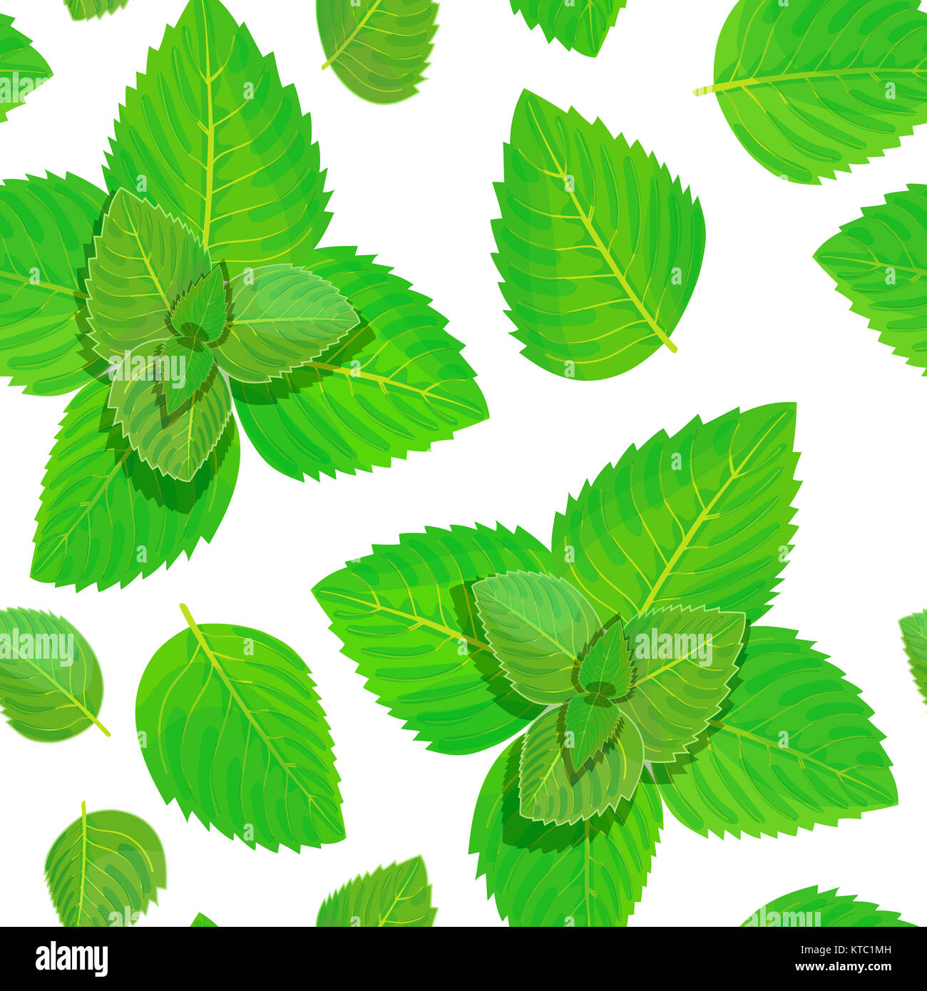 Fresh mint vector seamless pattern Stock Photo - Alamy