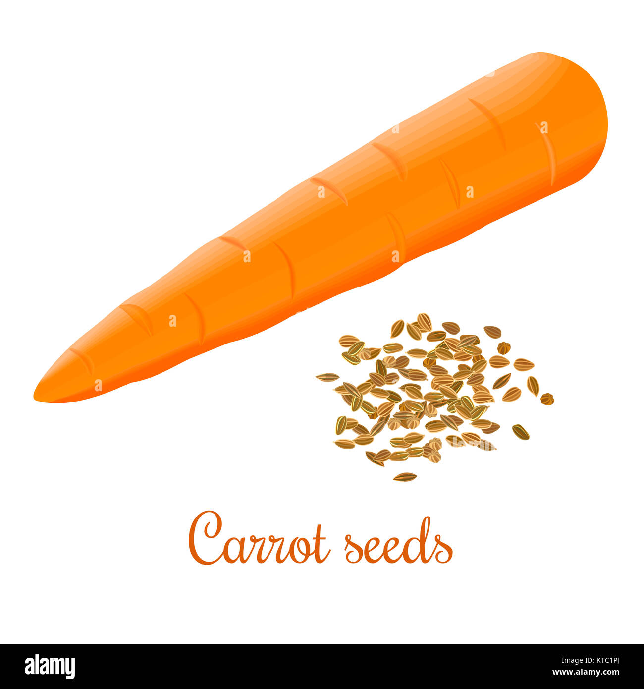 Carrot seeds and fresh juicy carrot Stock Photo Alamy