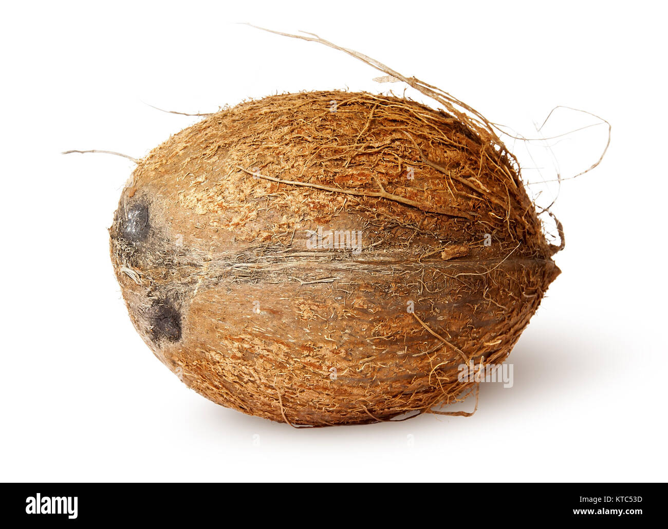 Coconut lying horizontally Stock Photo