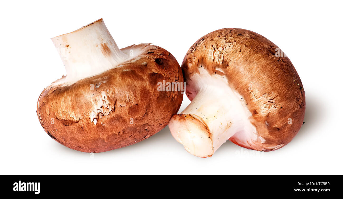 Two fresh brown mushroom beside Stock Photo