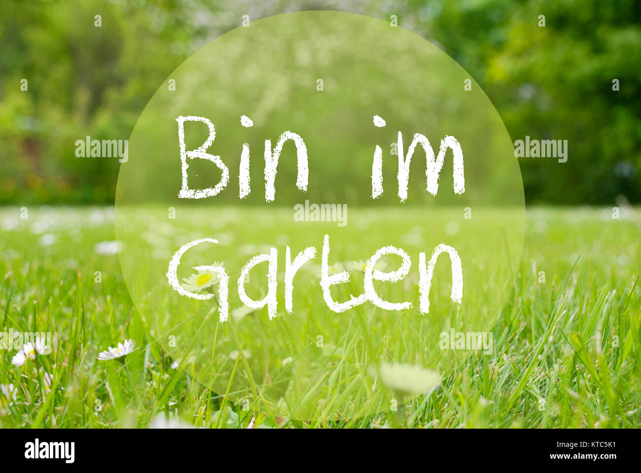 German Text Bin Im Garten Means I Am In The Garden. Spring Or Summer