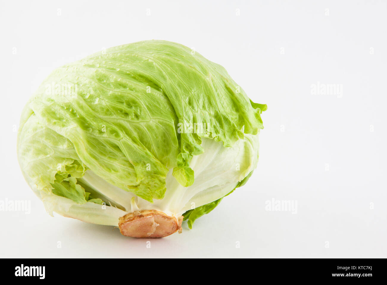 Crisphead lettuce (Lactuca sativa Stock Photo Alamy
