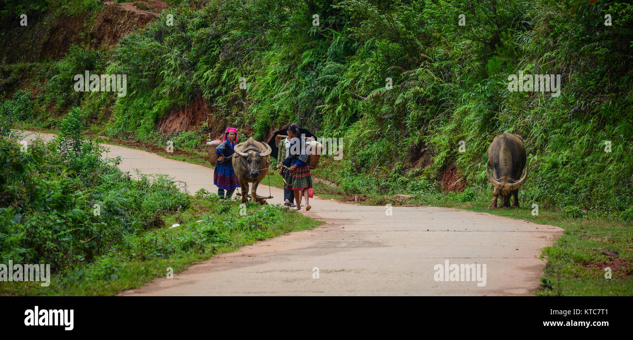Sapa lao cai vietnam may hi-res stock photography and images - Alamy
