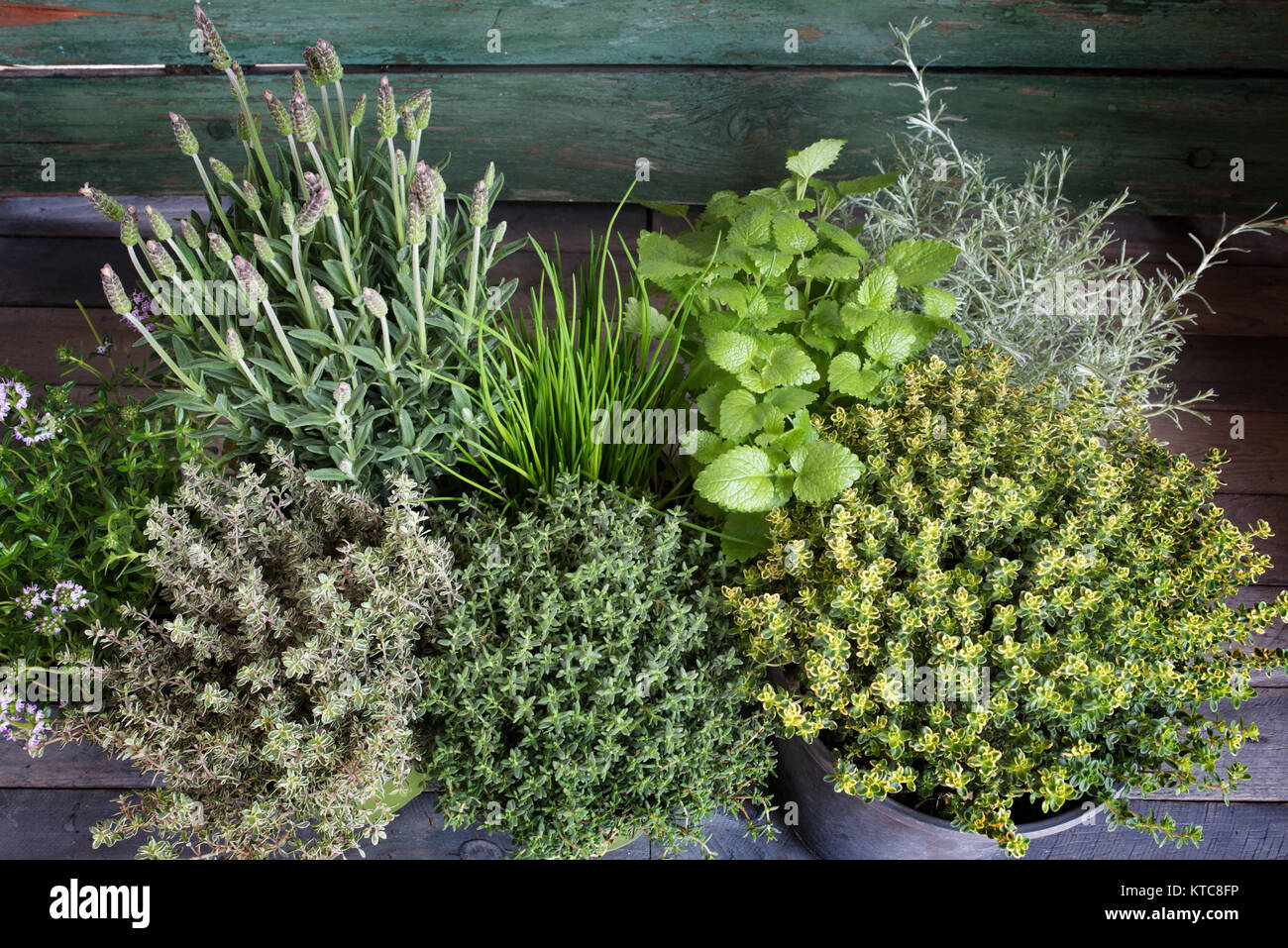 Small spice herb garden on a rustic wooden table Stock Photo Alamy