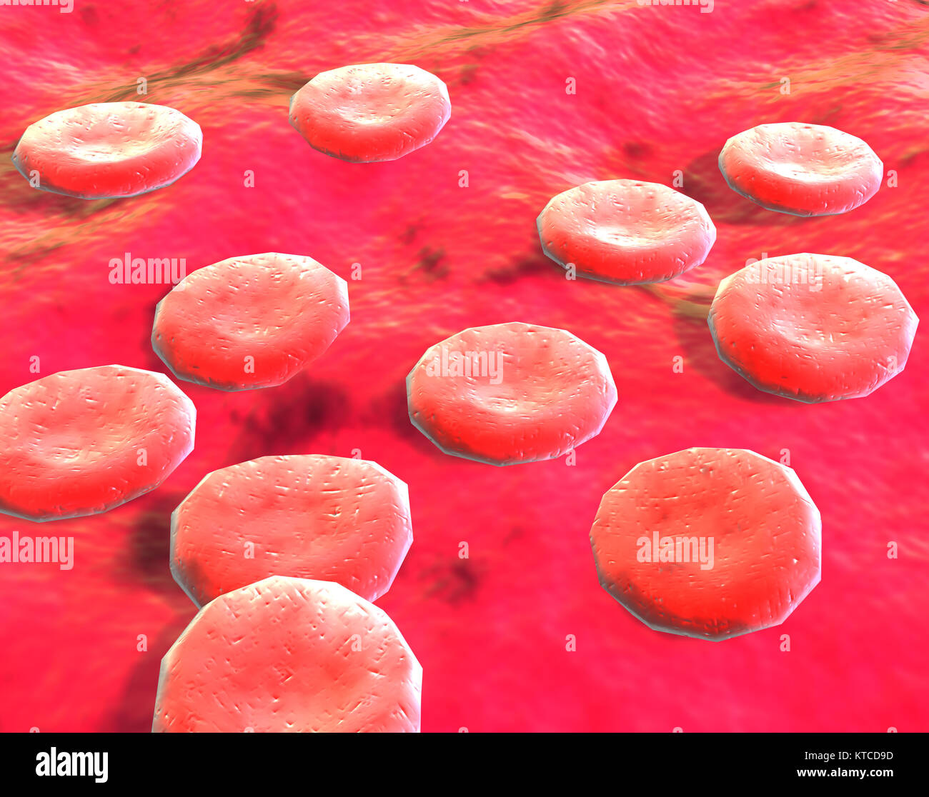 blood cells in vein Stock Photo