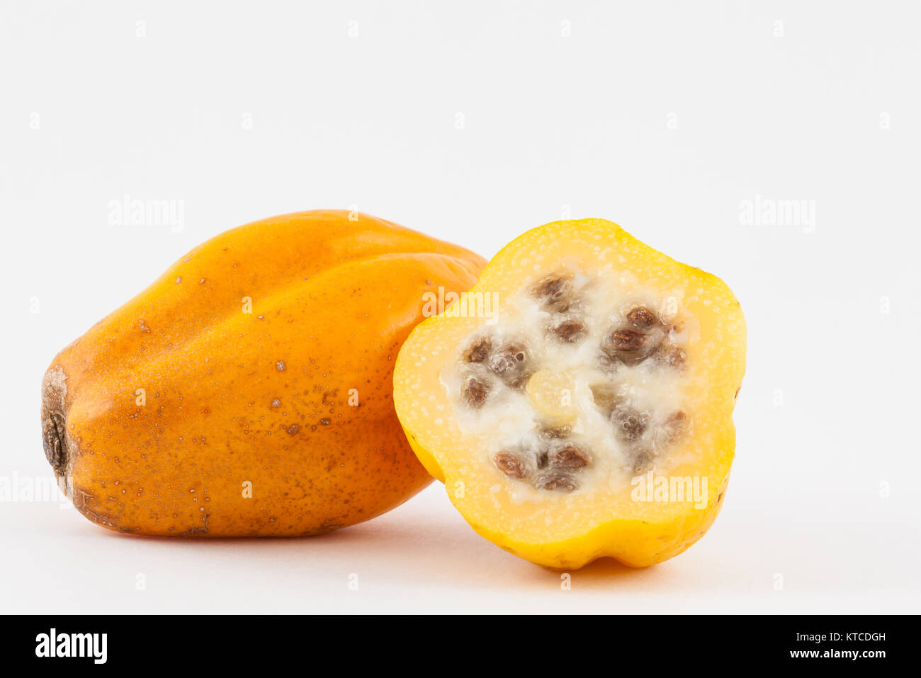 Mountain papaya (Vasconcellea pubescens) Stock Photo