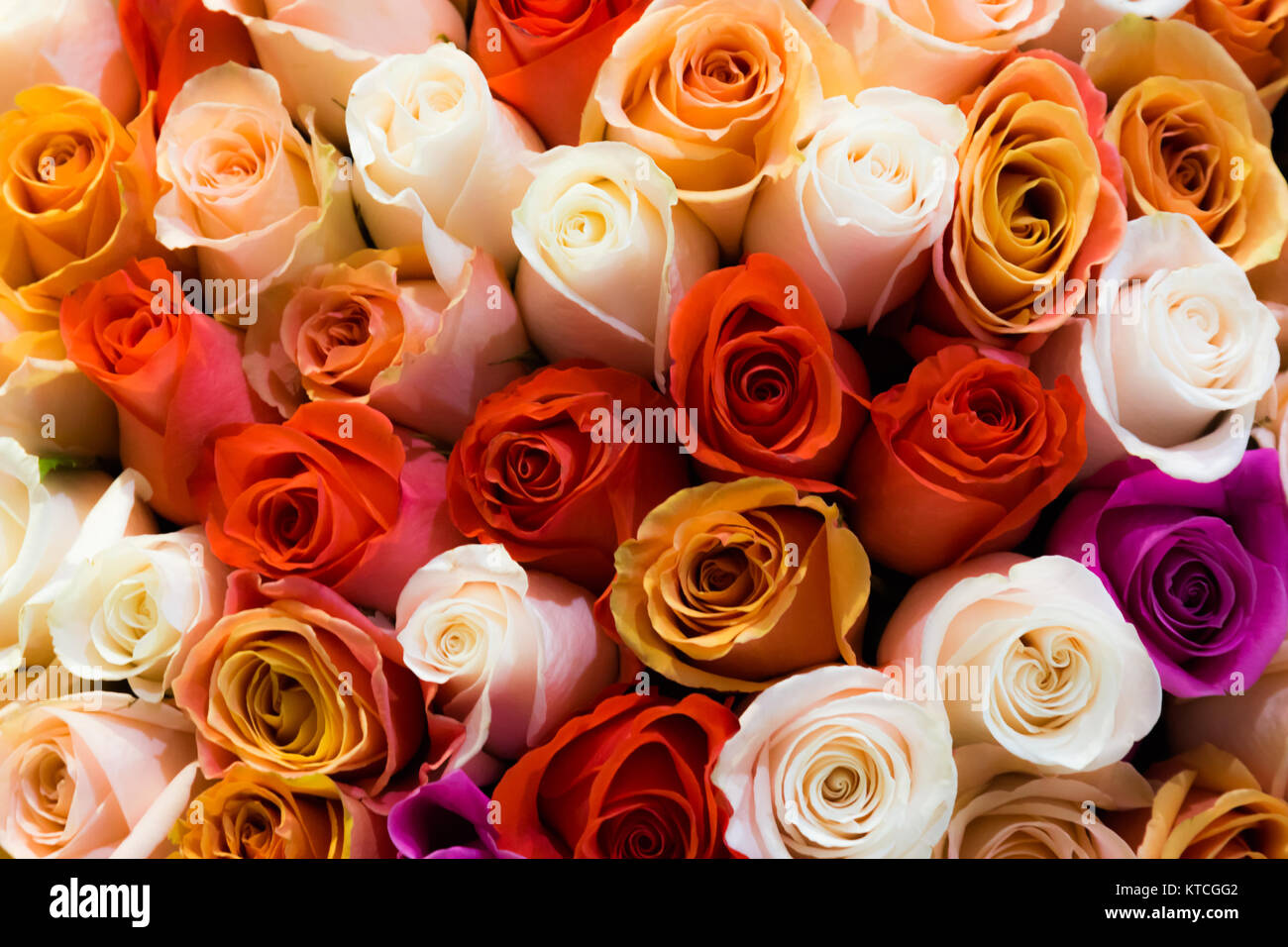 Beautiful bouquet of lots of colorful roses white red tea orange ...