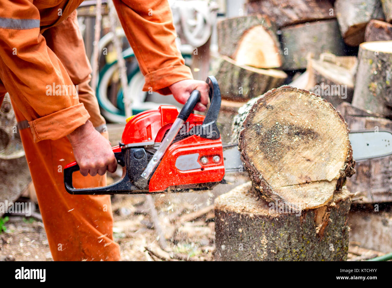 Man with chainsaw cutting the tree. worker in protective gear Stock
