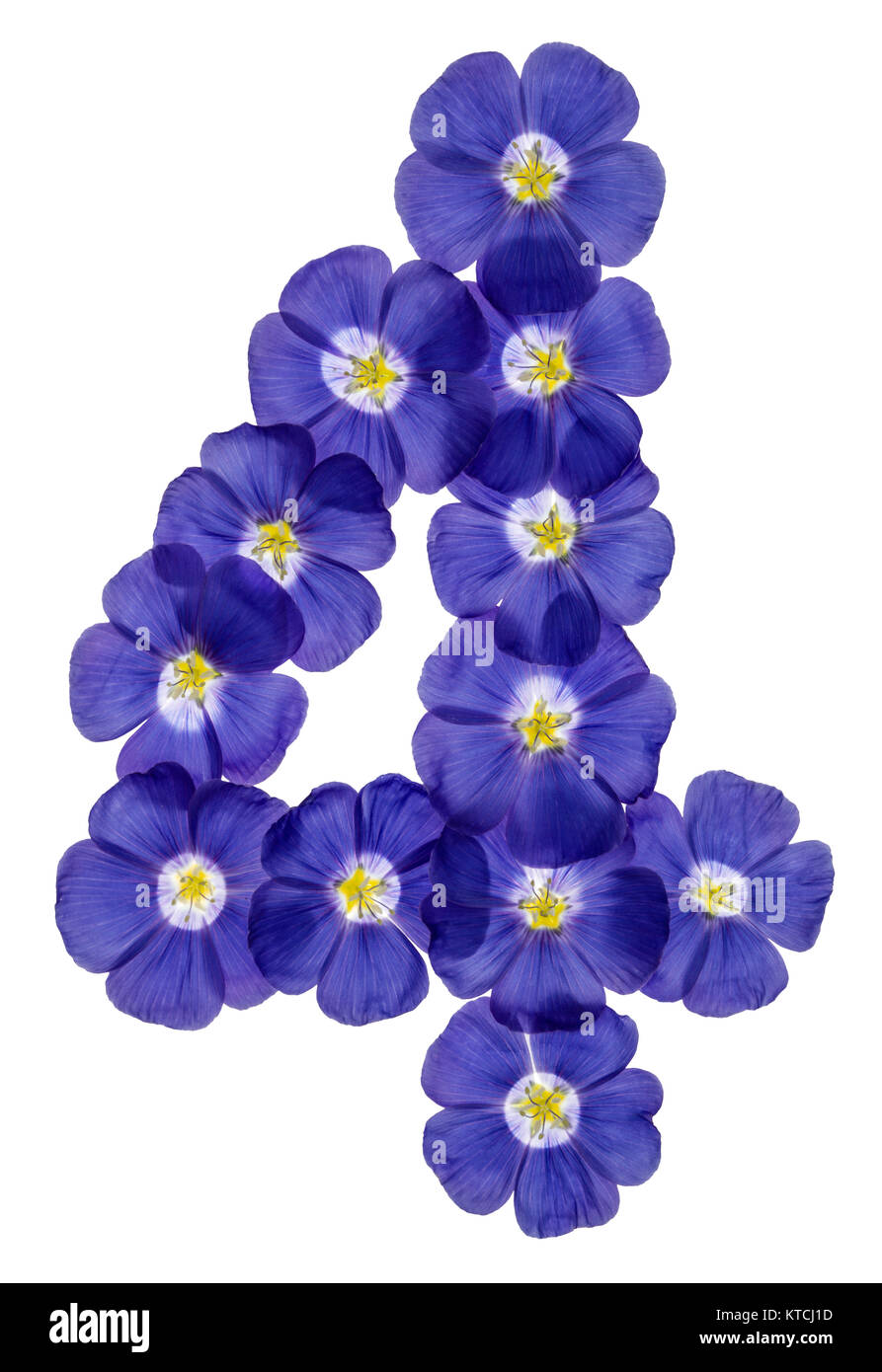 Arabic numeral 4, four, from blue flowers of flax, isolated on white ...