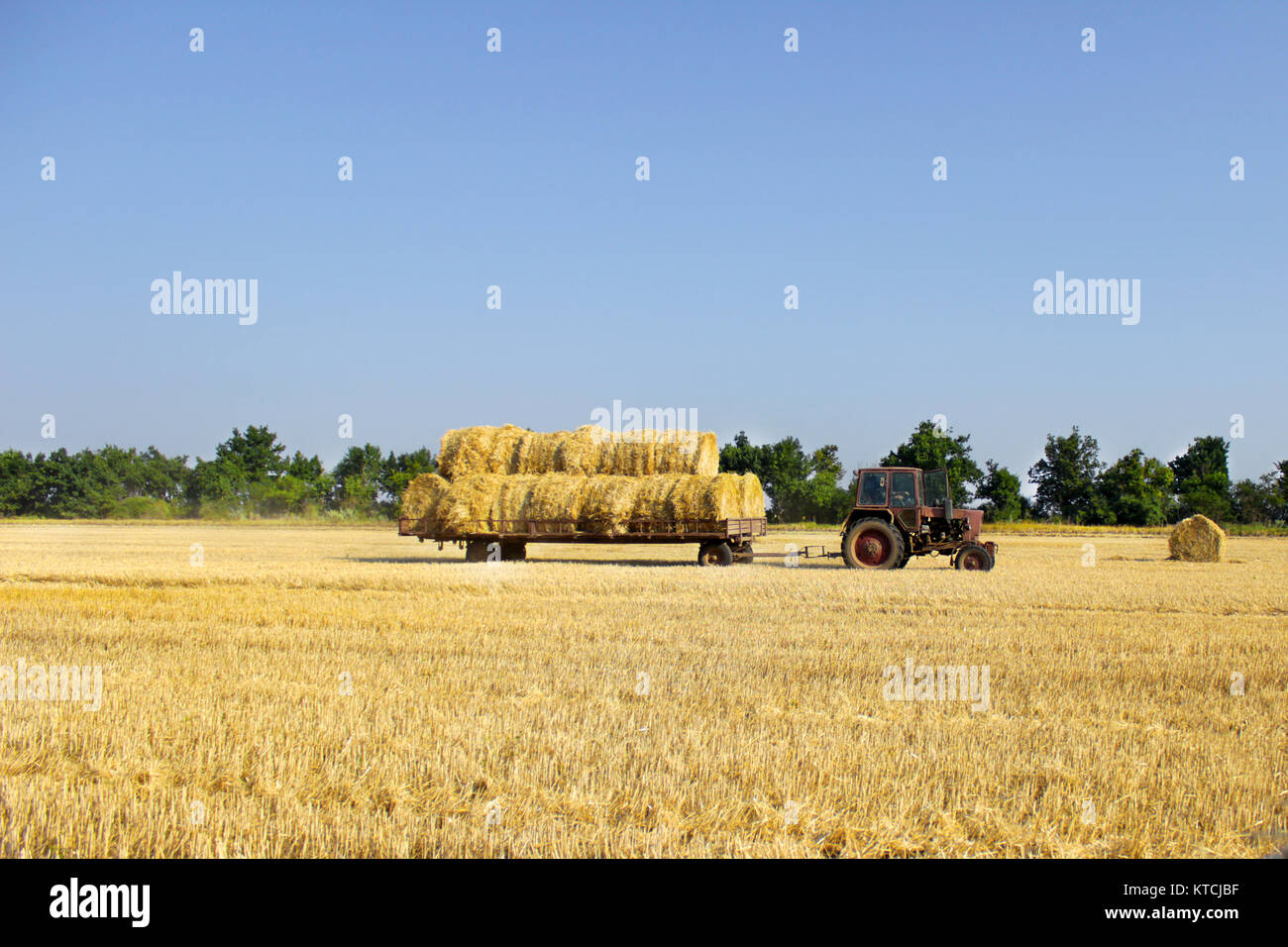 Carrying bales of hay hi-res stock photography and images - Page 2 - Alamy