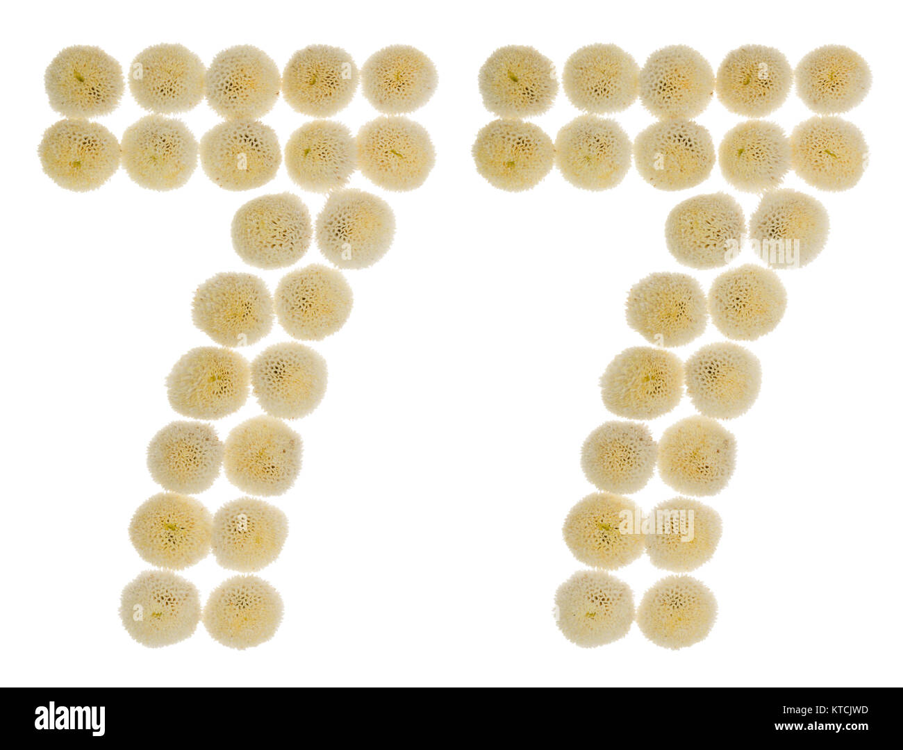Numeral 77, Seventy Seven, Reflected On The Water Surface, Isolated On  White, 3d Render Stock Photo, Picture and Royalty Free Image. Image  76144149.