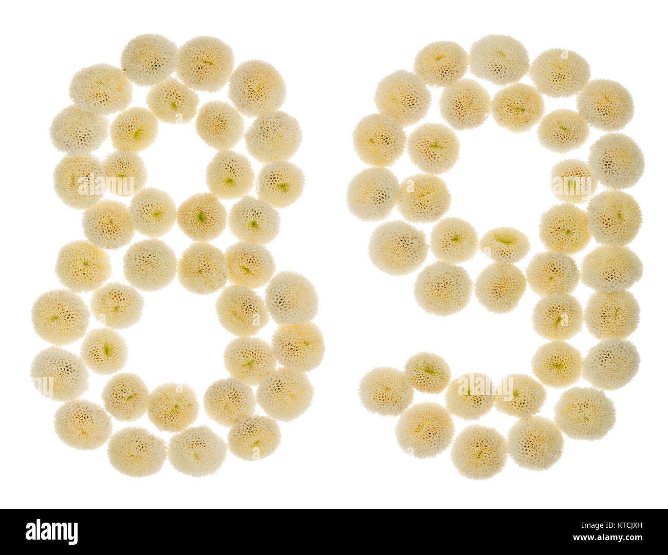 Arabic numeral 89, eighty nine, from cream flowers of chrysanthemum ...
