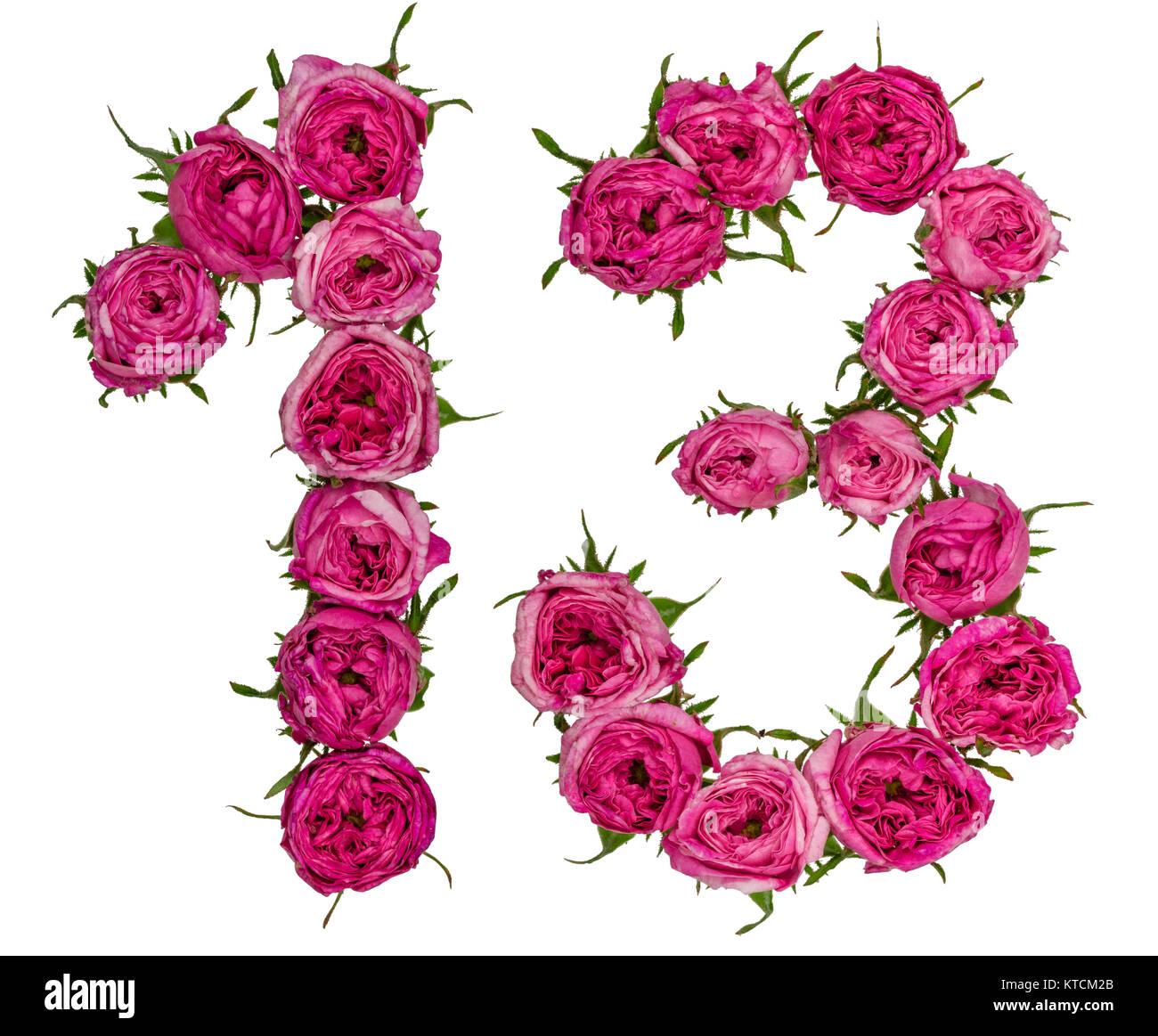 Arabic numeral 13, thirteen, from red flowers of rose, isolated on