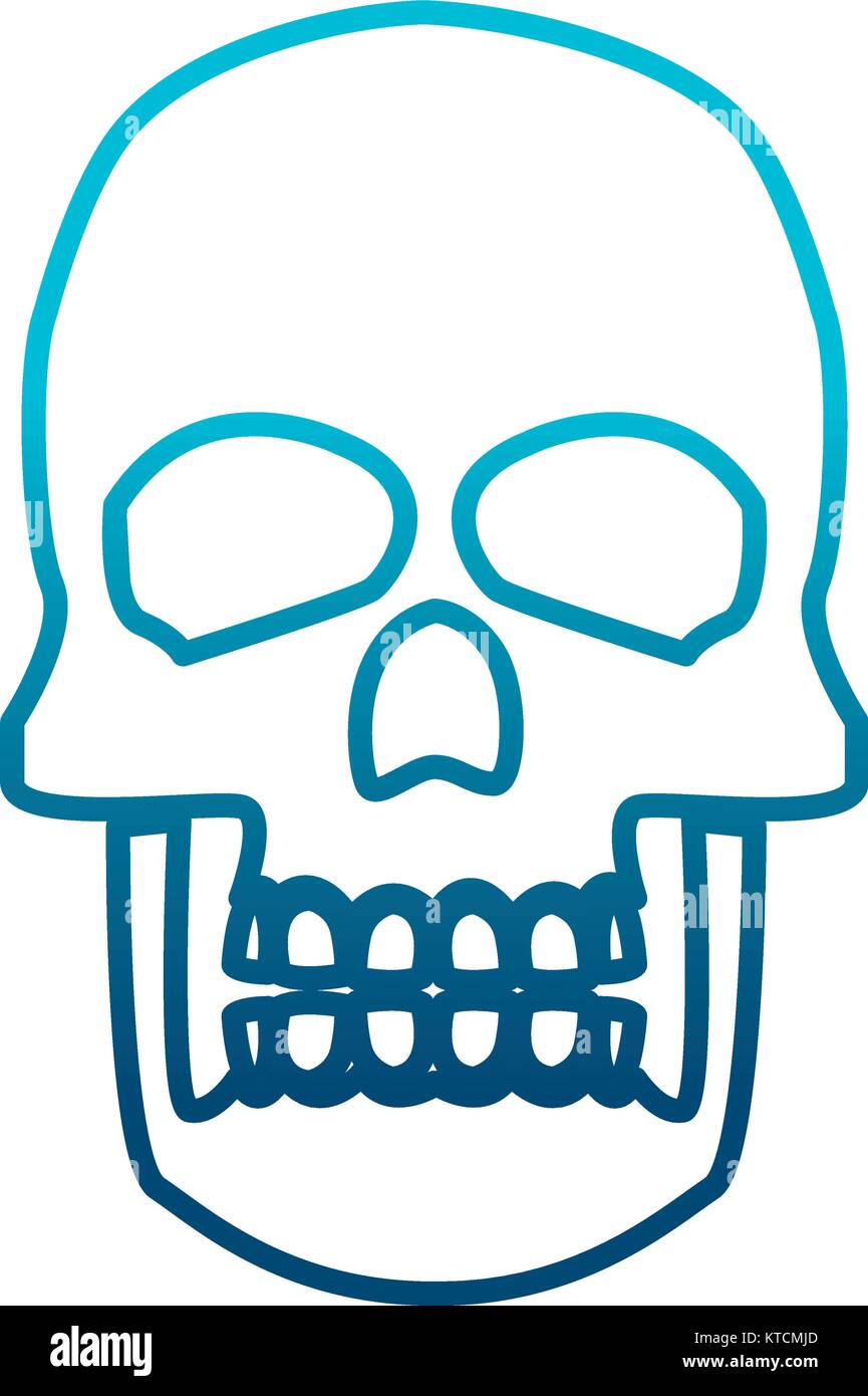 Human skull symbol Stock Vector Image & Art Alamy
