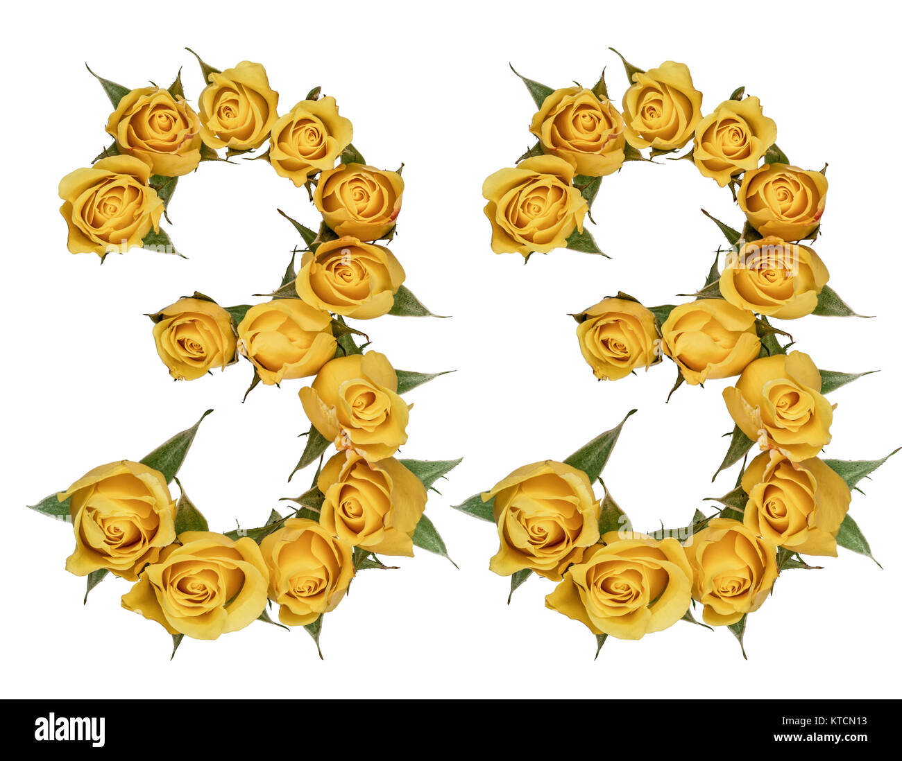 Arabic numeral 33, thirty three, from yellow flowers of rose, isolated ...