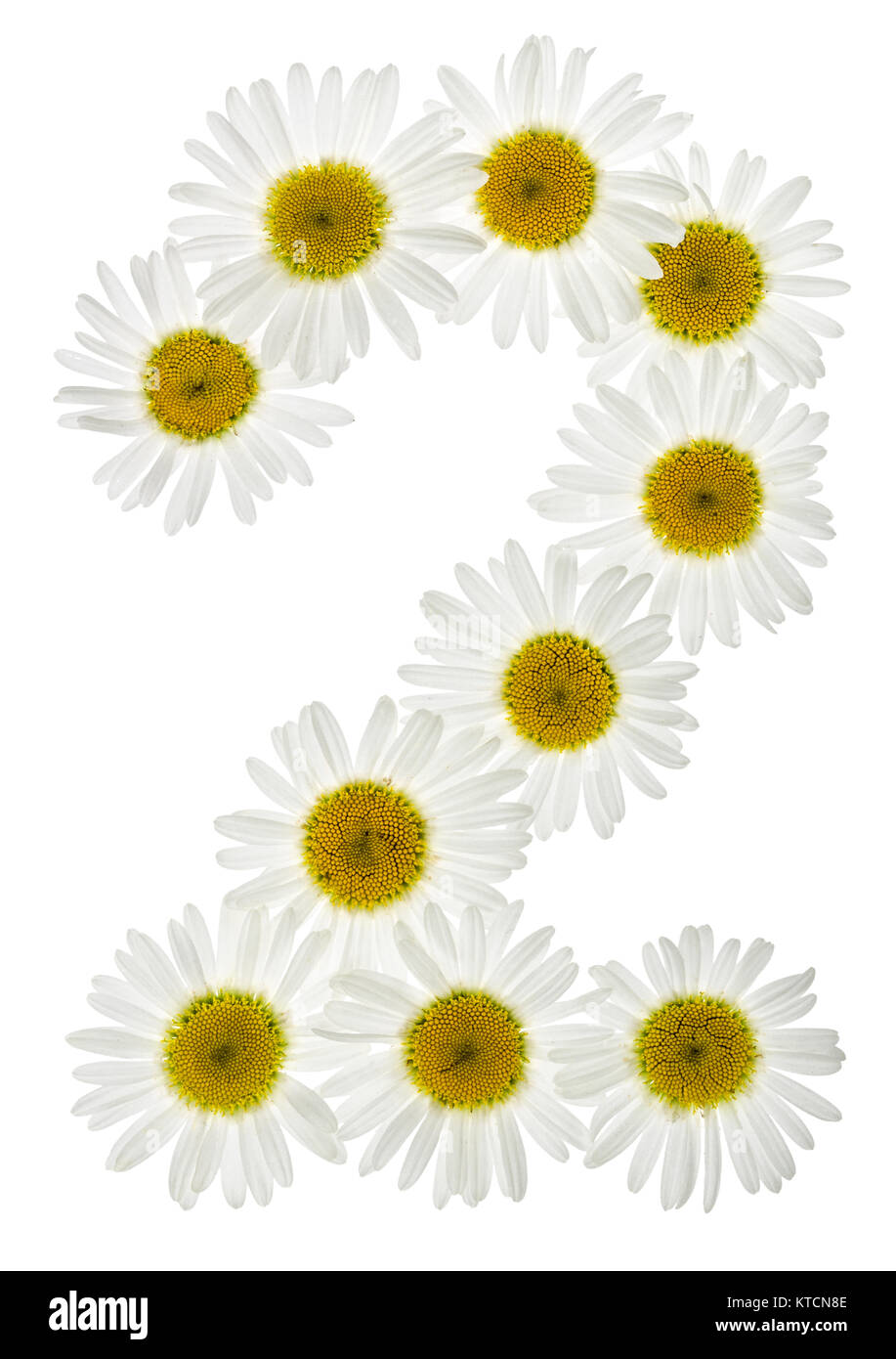 Arabic Numeral 2 Two From White Flowers Of Chamomile Isolated On Stock Photo Alamy alamy