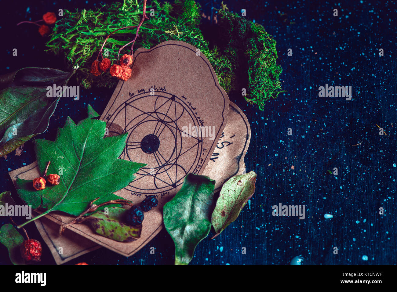 Pentagram drawing on a parchment with potion ingredients in a magical scene. Modern witchcraft concept with copy space. Dark still life photography. Stock Photo