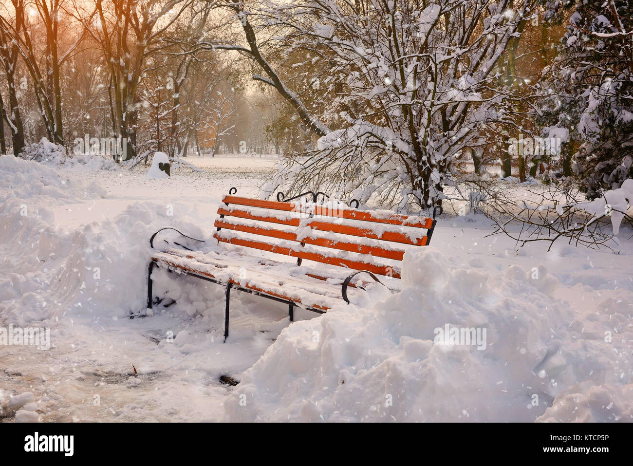 Beautiful winter morning. Bench in Winter Park Stock Photo - Alamy
