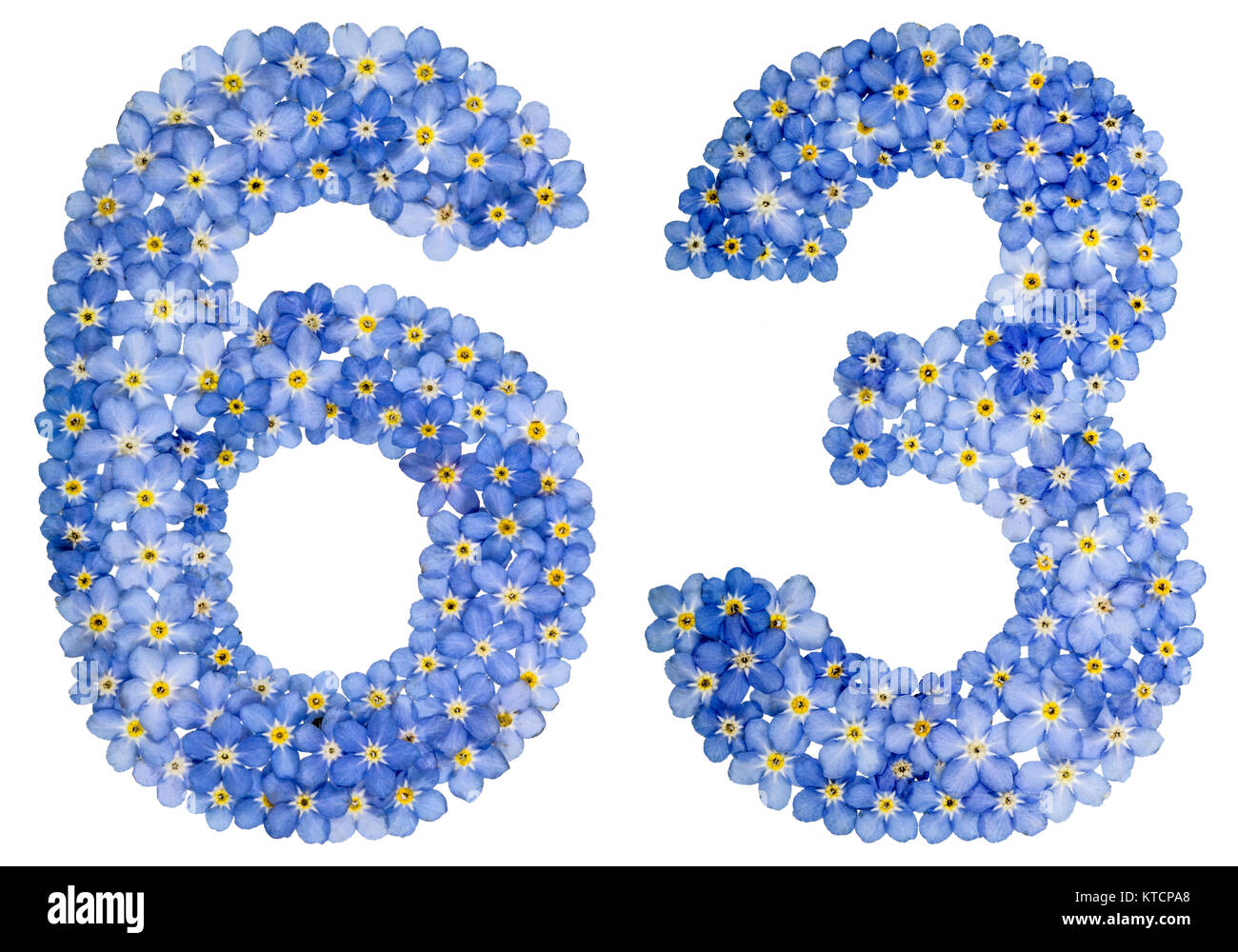 Number 63 Blogspot Arabic numeral 63, sixty three, from blue forget-me-not flowers ...